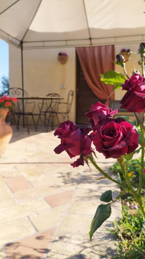 Il Casale Di Fiore Cannara Exterior photo