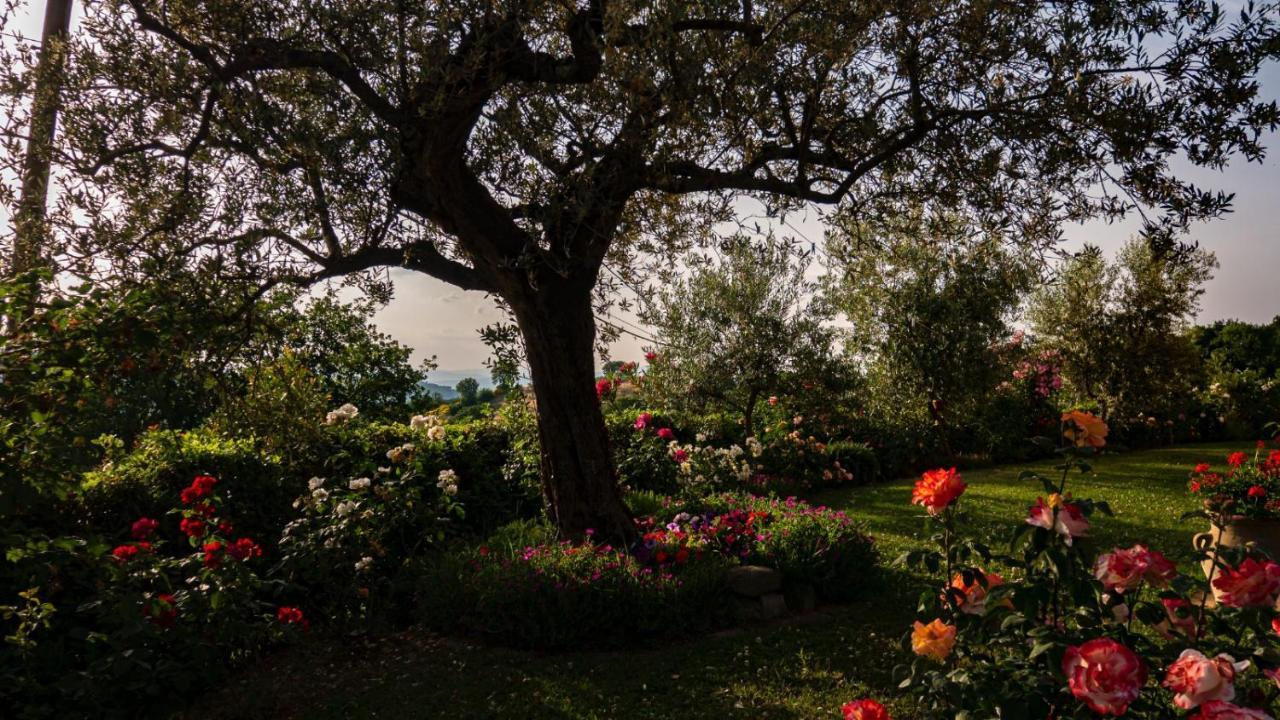 Il Casale Di Fiore Cannara Exterior photo