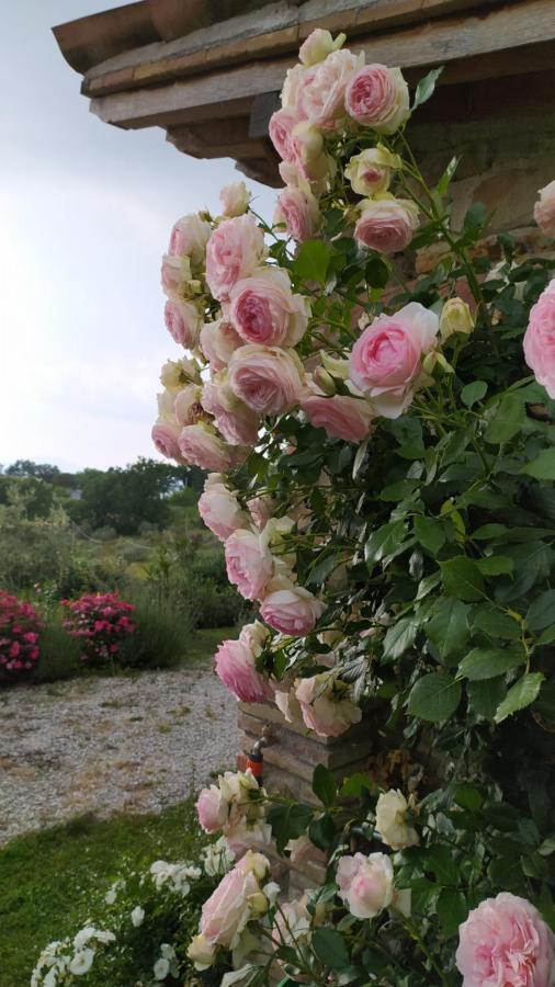 Il Casale Di Fiore Cannara Exterior photo